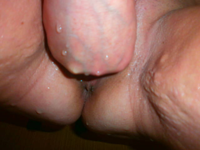 PA200830.JPG - kuracka50