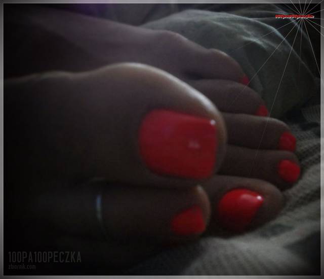 sweet orange #22 - 100pa100peczka