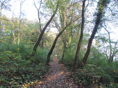 a może jeszcze.... nie