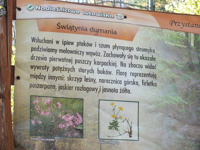 Jedna  kreska ma znaczenie- pasuje na Zbiornik - dziadekh