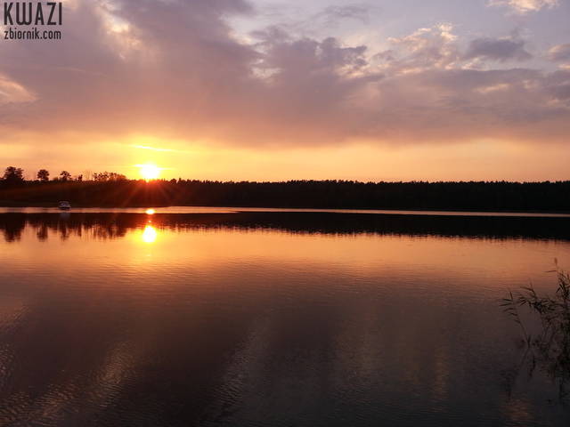 20140807_194711.jpg - kwazi