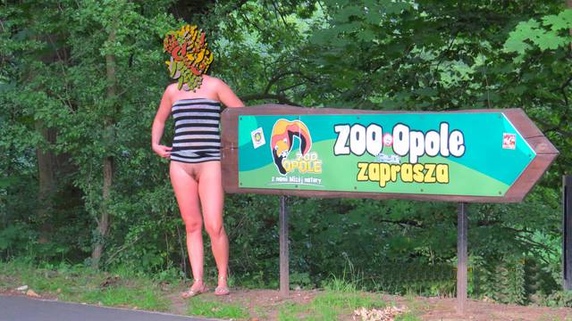 Idziemy do ZOO ? - ada77