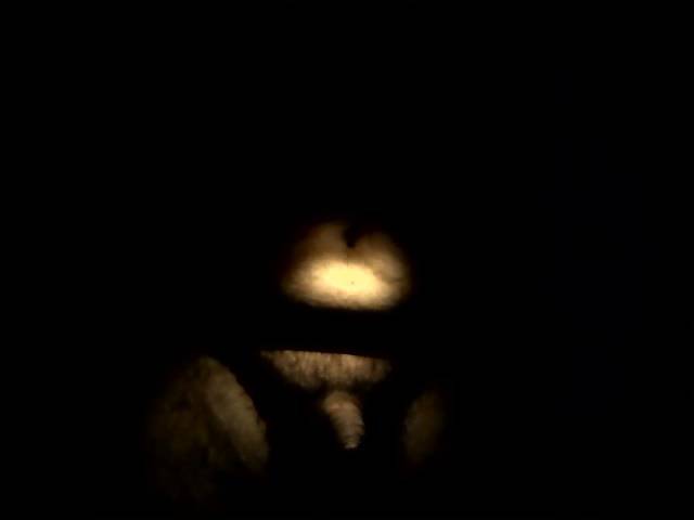 Snapshot_20141103.JPG - mmmp22