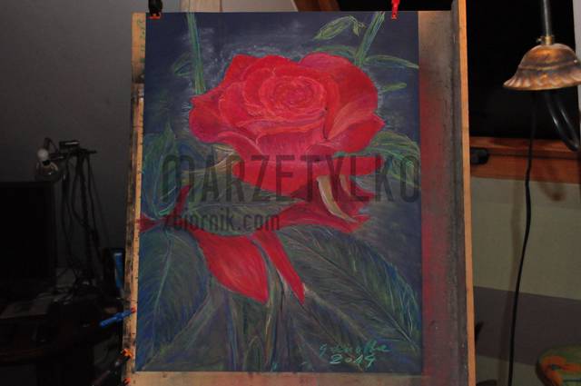 DSC_5660 [1600x1200].jpg - marzetylko