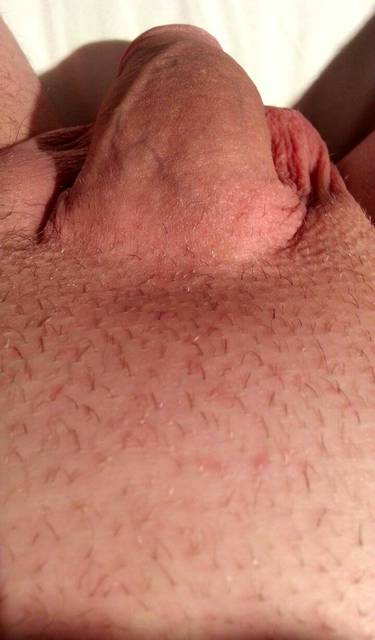 on finger2.jpg - drewniany_chomik