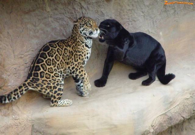 A TO MY - pareczka19821977