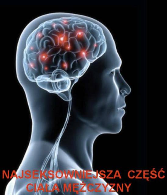 a190.jpg - radek2003