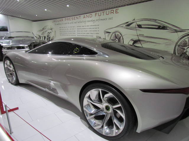 piękny:) - wodnik50