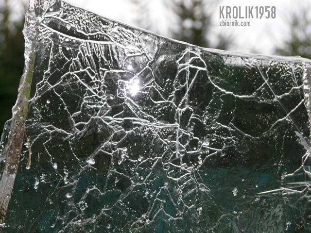 P1290024.JPG - krolik1958