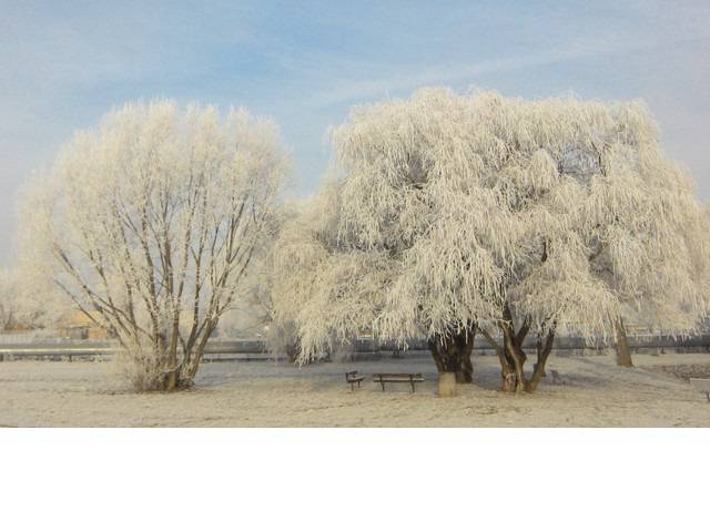 zima 2014.jpg - Masterky