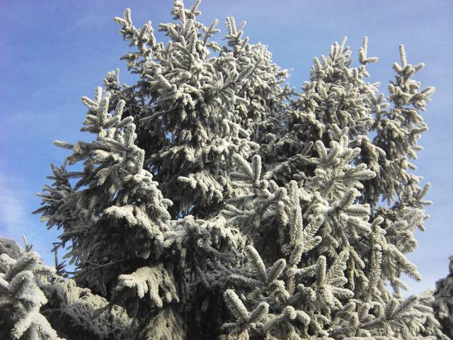 Zima2014_II.jpg - Masterky