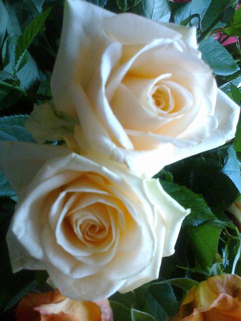 02052013324.jpg - frodo_1975