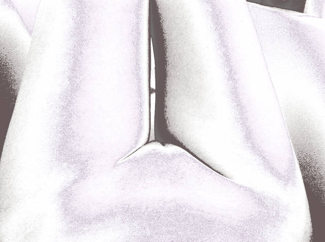 xray2.jpg - Privatehots