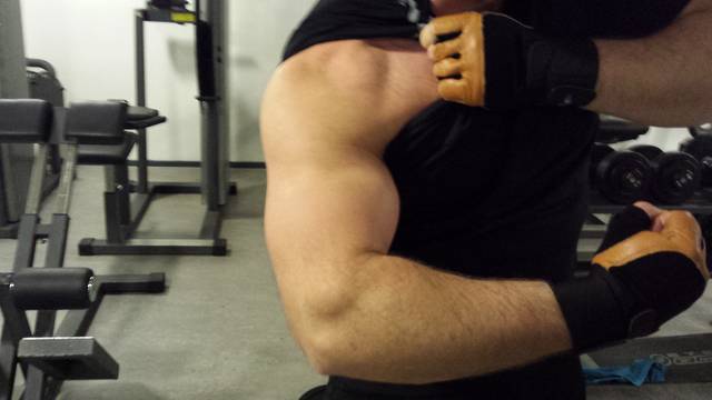 na siłce spinam bicepsa :-) - misior260