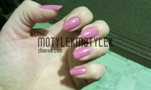 1418494953601.jpg - motylekmotylek