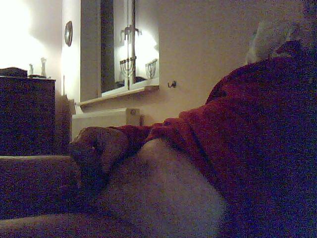 IMG000006.jpg - adanon