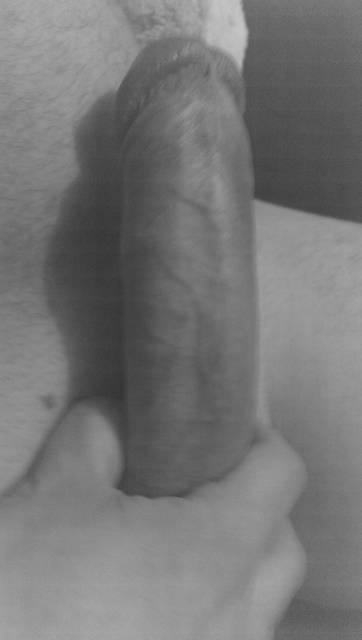 IMAG0784.jpg - harbeth999