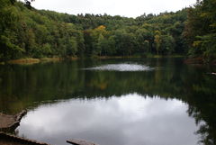 milusie wspomienia:-)