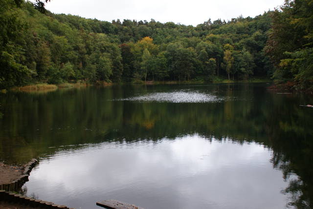 milusie wspomienia:-) - mefi66