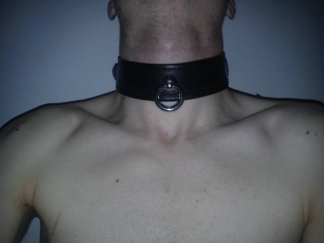 DSC_0053.jpg - bogo86r