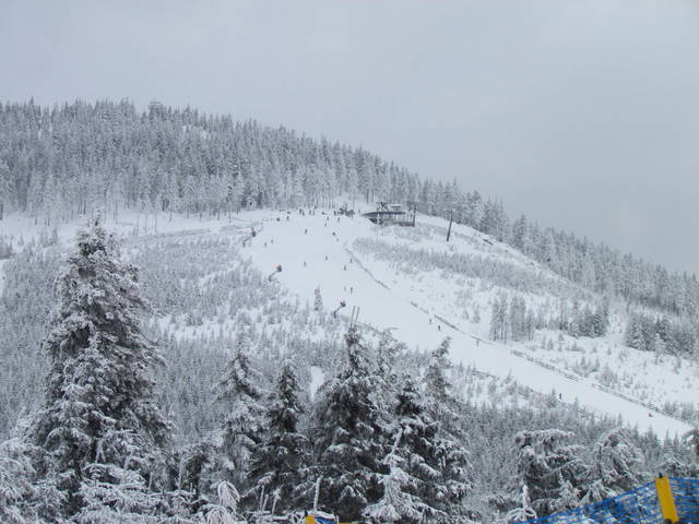 zjazd w dół - wodnik50