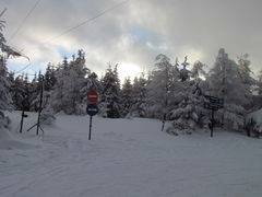 będzie w tym roku chociaż trochę puchu