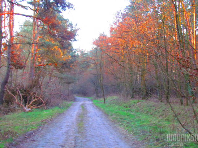 grudniowy spacer - wodnik50