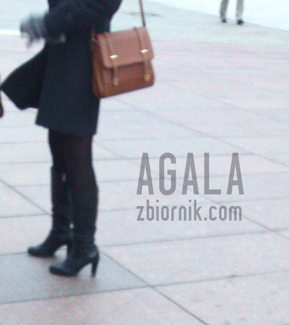 DSC_a0474cz.jpg - AGALA