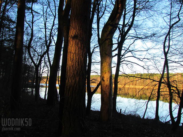 słoneczny świąteczny dzień - wodnik50