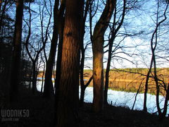 słoneczny świąteczny dzień