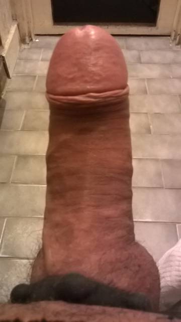 WP_20141230_05_10_17_Pro.jpg - geomi