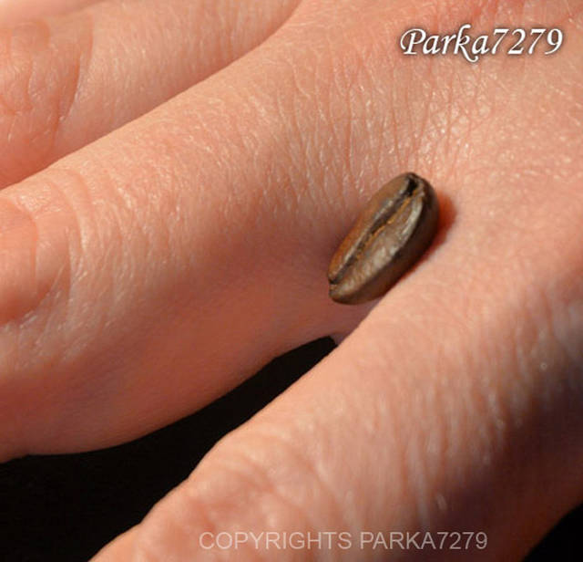 troche kawy z rana.jpg - Parka7279