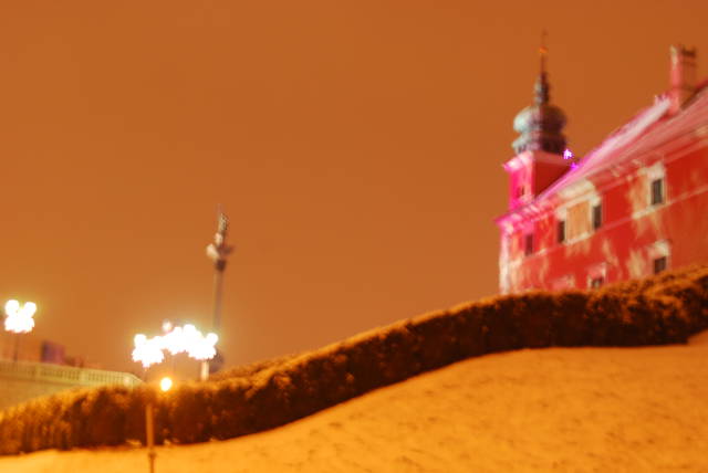 DSC_0931.JPG - Arrou