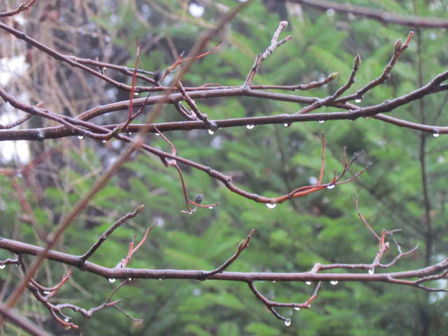 typowa "zimowa"aura - wodnik50