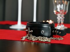 Zagubiono obrożę . Czy ktoś ją widział ?