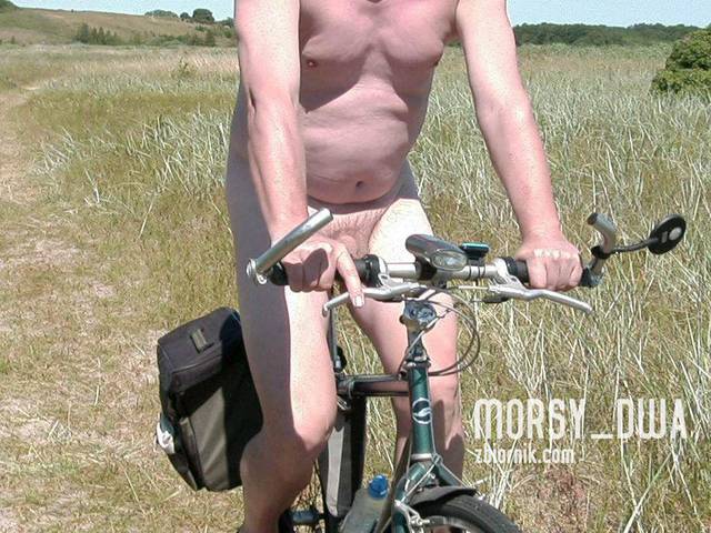 Ku słońcu - Morsy_dwa