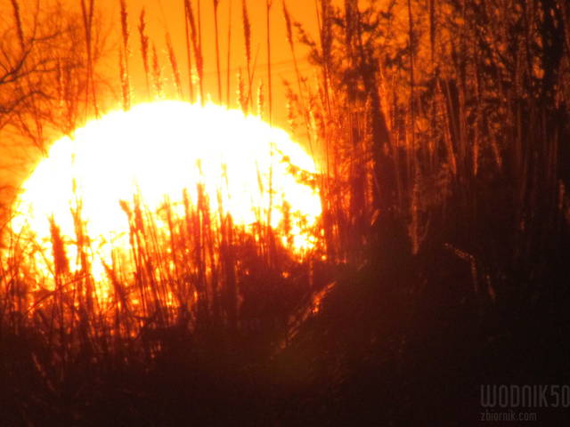 z dzisiejszego spaceru - wodnik50