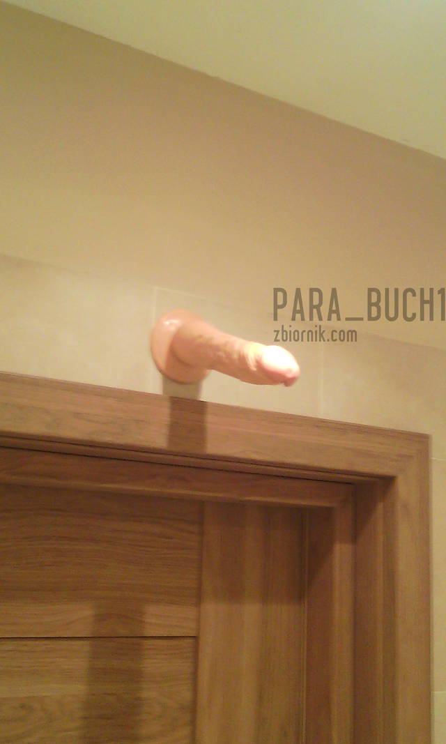 para_buch1