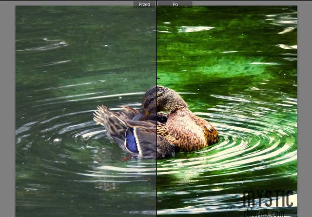 Szybka korekta - mystic