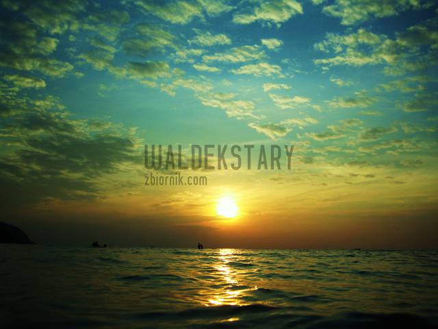 MOrze Japońskie3 005.JPG - waldekstary