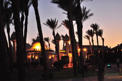 CSC_2480.JPG
