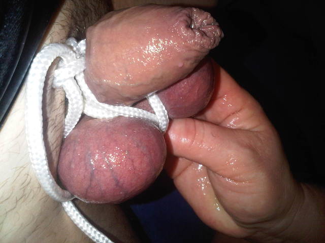 IMG00256-20150125-0413.jpg - parabimax40