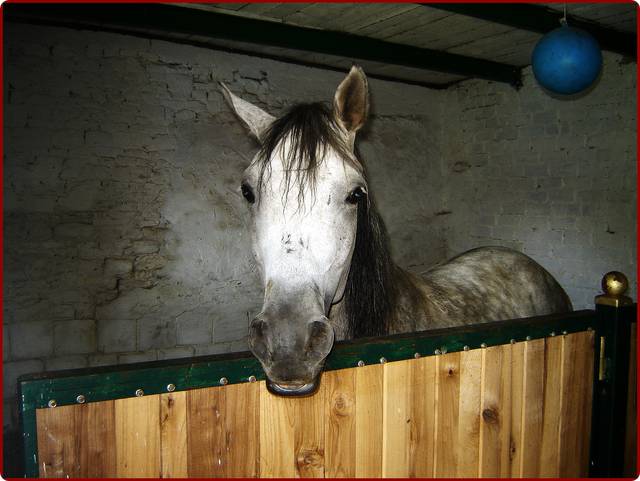 w.....stajni - wodnik50