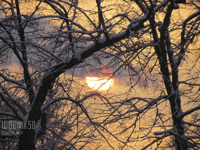 zimowy poranek - wodnik50