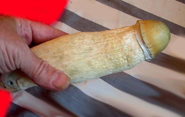 penis4.jpg - sexcity