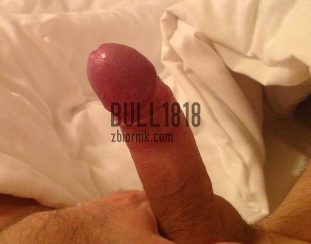 image.jpg - bull1818