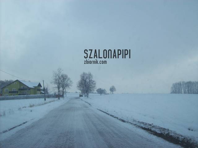 100_1331.JPG - szalonapipi
