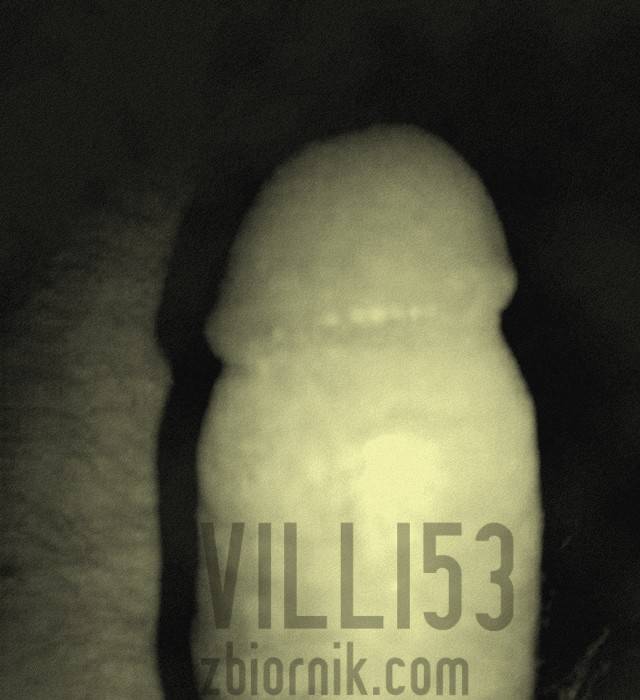 villi53