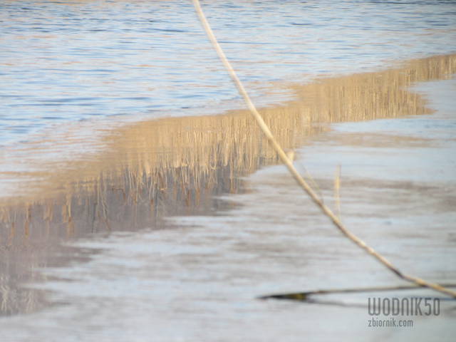 ....lustro... - wodnik50