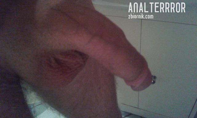 20150216_143046.jpg - AnalTerrror